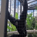 実際訪問したユーザーが直接撮影して投稿した東山元町動物園東山動植物園の写真