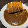 ポークカレー - 実際訪問したユーザーが直接撮影して投稿した下沢通カレーCoCo壱番屋 兵庫区湊川駅前店の写真のメニュー情報