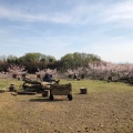 実際訪問したユーザーが直接撮影して投稿した小比企町カフェTOKYO FARM VILLAGEの写真