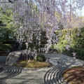 実際訪問したユーザーが直接撮影して投稿した花園妙心寺町寺退蔵院の写真