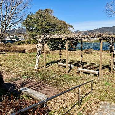 実際訪問したユーザーが直接撮影して投稿した三ヶ日町岡本公園釣橋川公園の写真