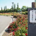 実際訪問したユーザーが直接撮影して投稿した北三条道の駅道の駅 ほっと はぼろの写真