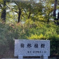 実際訪問したユーザーが直接撮影して投稿した清洲公園清洲公園の写真