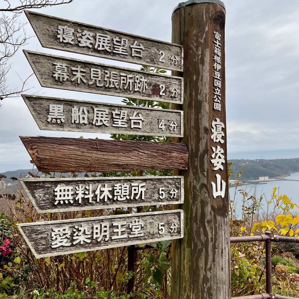 実際訪問したユーザーが直接撮影して投稿した中公園富士箱根伊豆国立公園の写真