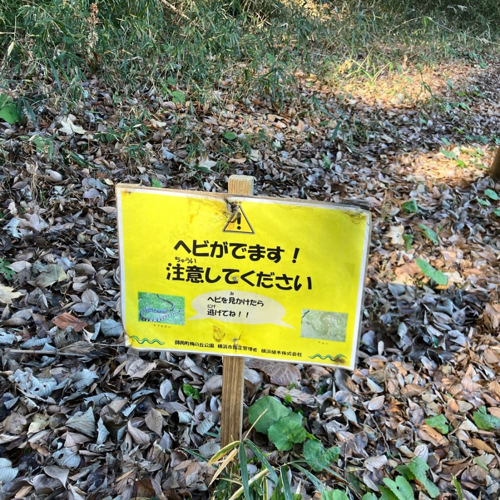 実際訪問したユーザーが直接撮影して投稿した獅子ケ谷公園獅子ケ谷市民の森の写真