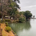 実際訪問したユーザーが直接撮影して投稿した兼六町地域名所兼六園 雪吊りの写真