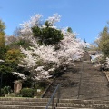 実際訪問したユーザーが直接撮影して投稿した平和公園公園平和公園の写真