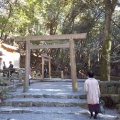 実際訪問したユーザーが直接撮影して投稿した宇治館町神社大山祇神社の写真