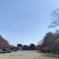 実際訪問したユーザーが直接撮影して投稿した馬場町公園鶴岡公園の写真