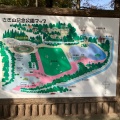 実際訪問したユーザーが直接撮影して投稿した上野田公園さぎ山記念公園の写真