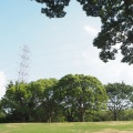 実際訪問したユーザーが直接撮影して投稿した百舌鳥夕雲町公園大仙公園の写真