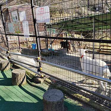 実際訪問したユーザーが直接撮影して投稿した平田町公園愛宕山公園の写真