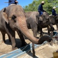 実際訪問したユーザーが直接撮影して投稿した山小川動物園アニマルワンダーリゾウト 市原ぞうの国の写真