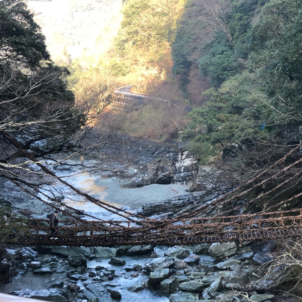 実際訪問したユーザーが直接撮影して投稿した西祖谷山村尾井ノ内その他飲食店食事処 おときやの写真