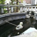 実際訪問したユーザーが直接撮影して投稿した大垣神社元伊勢籠神社の写真