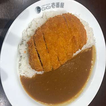 実際訪問したユーザーが直接撮影して投稿した泉カレーCoCo壱番屋 マグ住之江店の写真