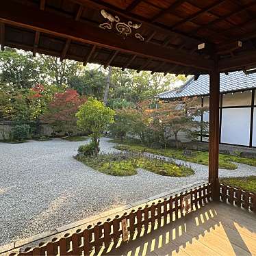 実際訪問したユーザーが直接撮影して投稿した北之辺町寺廬山寺の写真