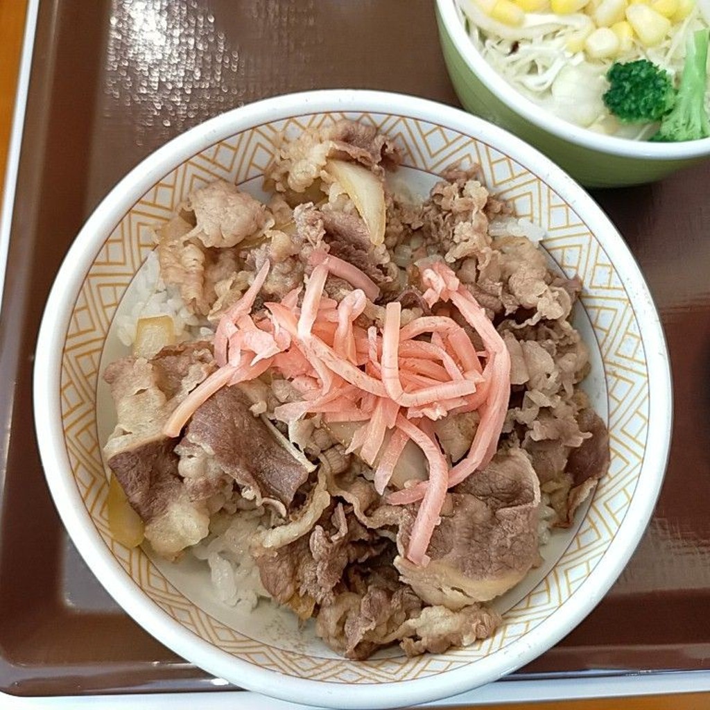 ユーザーが投稿した牛丼の写真 - 実際訪問したユーザーが直接撮影して投稿した篠田牛丼すき家 青森西店の写真