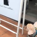 実際訪問したユーザーが直接撮影して投稿した松波カフェFeel Free Coffee.の写真