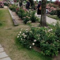 実際訪問したユーザーが直接撮影して投稿した柳が崎結婚式場びわ湖大津館の写真
