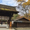 実際訪問したユーザーが直接撮影して投稿した下鴨泉川町神社河合神社の写真