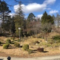 実際訪問したユーザーが直接撮影して投稿した杉妻町公園紅葉山公園の写真