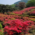 実際訪問したユーザーが直接撮影して投稿した和田公園小室山公園の写真