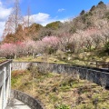 実際訪問したユーザーが直接撮影して投稿した高向植物園 / 樹木園大阪府立花の文化園の写真