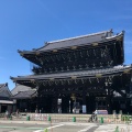 実際訪問したユーザーが直接撮影して投稿した常葉町寺東本願寺 御影堂門の写真