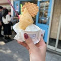 実際訪問したユーザーが直接撮影して投稿した海岸通スイーツYokohama SORAiRO gelatoの写真