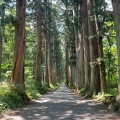 実際訪問したユーザーが直接撮影して投稿した戸隠神社戸隠神社 奥社の写真