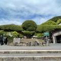 実際訪問したユーザーが直接撮影して投稿した照国町神社照国神社の写真