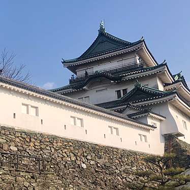 実際訪問したユーザーが直接撮影して投稿した一番丁城 / 城跡和歌山城の写真