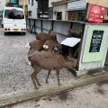 実際訪問したユーザーが直接撮影して投稿した宮島町定食屋 御食事処 山一 本店の写真