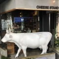 実際訪問したユーザーが直接撮影して投稿した富ヶ谷チーズ / 乳製品& CHEESE STANDの写真