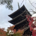 実際訪問したユーザーが直接撮影して投稿した御室大内寺仁和寺の写真