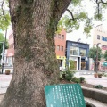 実際訪問したユーザーが直接撮影して投稿した大橋名木塩原地録神社移植樹の写真