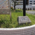 実際訪問したユーザーが直接撮影して投稿した東野田町公園京橋公園の写真