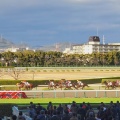 実際訪問したユーザーが直接撮影して投稿した駒の町競馬場阪神競馬場の写真