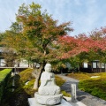 実際訪問したユーザーが直接撮影して投稿した庄田町寺御誕生寺の写真