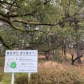 実際訪問したユーザーが直接撮影して投稿した山脇町古墳八幡山古墳の写真