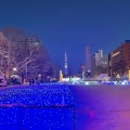 実際訪問したユーザーが直接撮影して投稿した大通西公園大通公園の写真