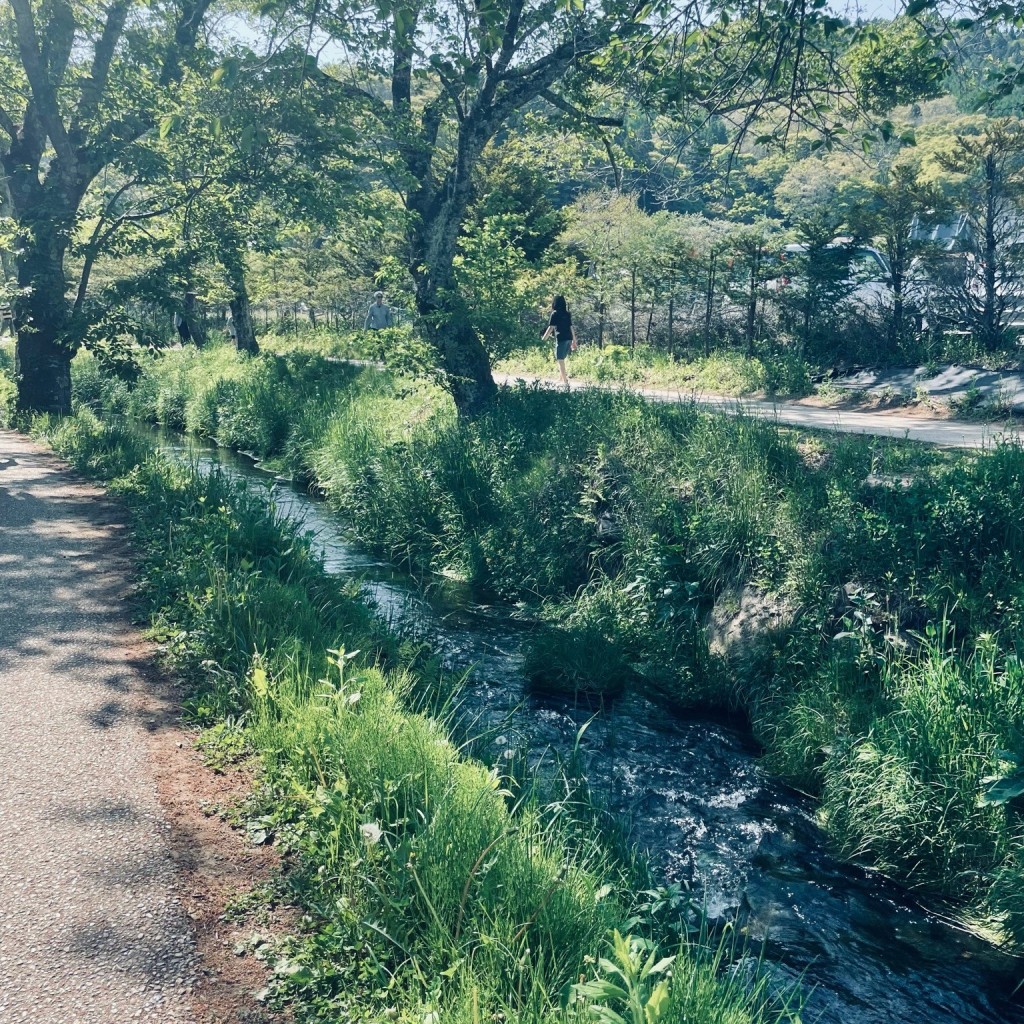 ばーん113さんが投稿した忍草湖沼 / 池のお店忍野八海/オシノハッカイの写真