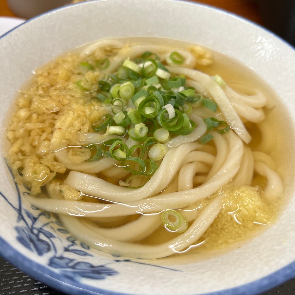 ユーザーが投稿したうどん1玉の写真 - 実際訪問したユーザーが直接撮影して投稿した太田下町うどん手打麺や 大島の写真