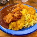 実際訪問したユーザーが直接撮影して投稿した虎ノ門カレーもうやんカレー とらのもん(虎ノ門店)の写真