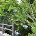 実際訪問したユーザーが直接撮影して投稿した畔吉公園上尾丸山公園の写真
