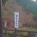 実際訪問したユーザーが直接撮影して投稿した嵯峨小倉山田淵山町神社御髪神社の写真