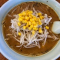 実際訪問したユーザーが直接撮影して投稿した蓮沼ラーメン / つけ麺どさんこ太郎の写真