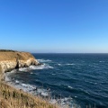 実際訪問したユーザーが直接撮影して投稿した三崎町城ケ島展望台 / 展望施設ウミウ展望台の写真