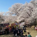 実際訪問したユーザーが直接撮影して投稿した中島公園宮川堤公園の写真